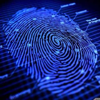 Fingerprint wallpaper