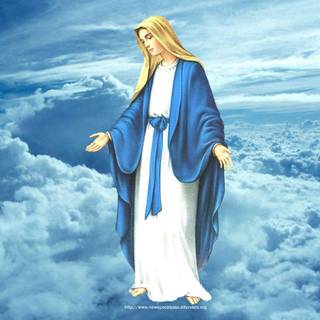 Immaculate Conception wallpaper