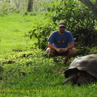 Galapagos Islands tortoises wallpaper