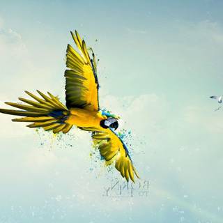Flying paint wallpaper