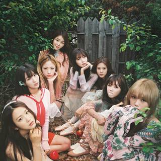 Oh My Girl wallpaper