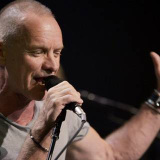Sting musician wallpaper