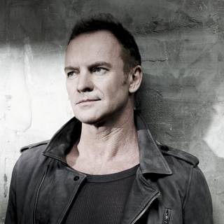 Sting musician wallpaper