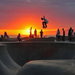 Venice Beach wallpaper