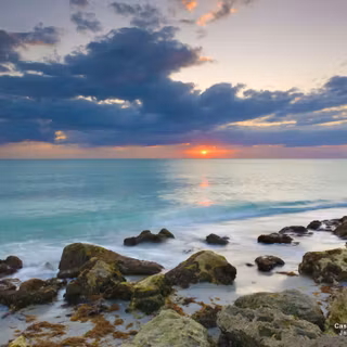 Venice Beach wallpaper