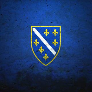 Bosnia and Herzegovina flag wallpaper