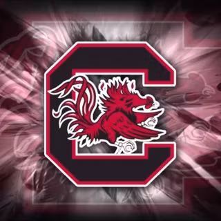 Carolina Gamecock wallpaper