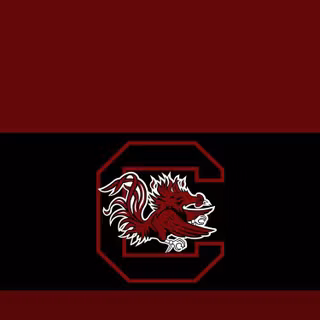 Carolina Gamecock wallpaper