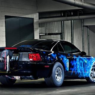 2003 Cobra Terminator wallpaper