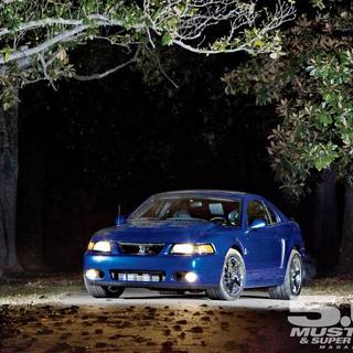 2003 Cobra Terminator wallpaper