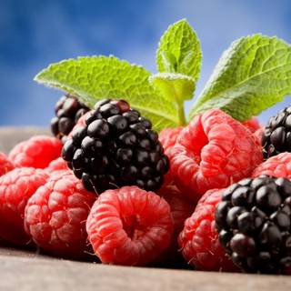 Berries wallpaper