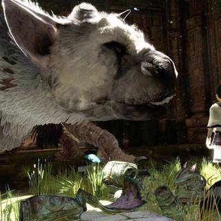 The Last Guardian wallpaper