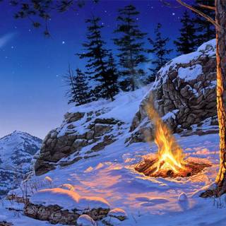 Winter 1920x1200 wallpaper