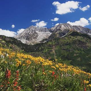 Colorado Springs wallpaper