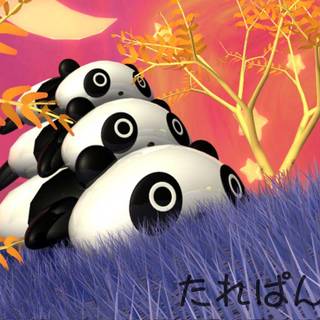 Tarepanda wallpaper