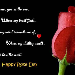 Happy Rose Day wallpaper
