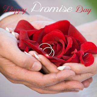 Valentine's Week wallpaper