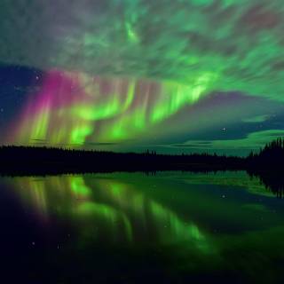 Arctic tundra wallpaper