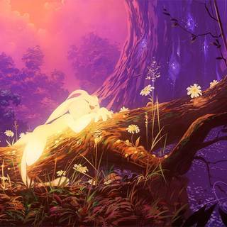 Ori and the Blind Forest wallpaper