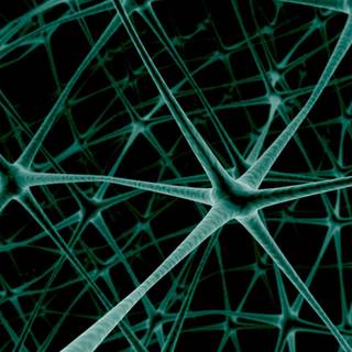 Connection wallpaper