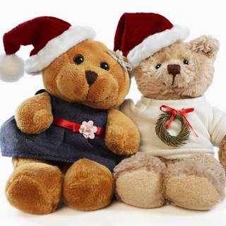 Teddy Day wallpaper