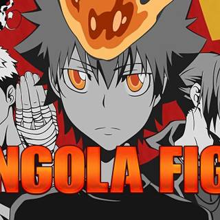 Vongola Battle wallpaper