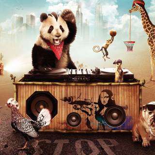 Mix animals wallpaper