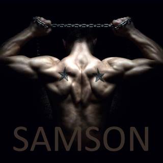 Samson wallpaper