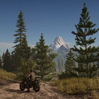 Days Gone wallpaper