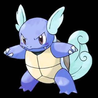 Wartortle HD wallpaper