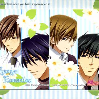 Junjo Romantica: Pure Romance wallpaper