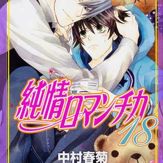 Junjo Romantica: Pure Romance wallpaper