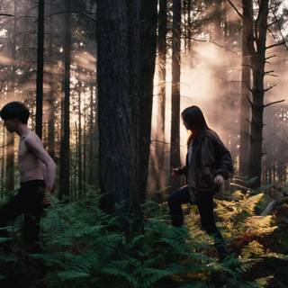 The End of the F***ing World wallpaper