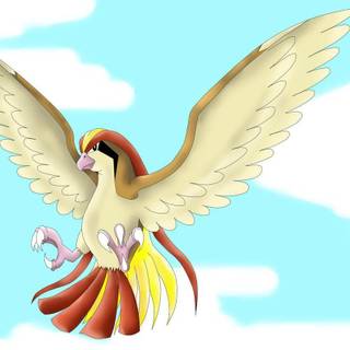Pidgeot HD wallpaper