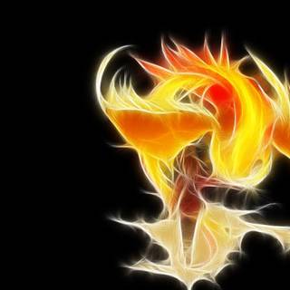 Pidgeot HD wallpaper