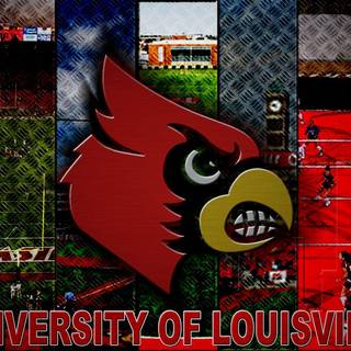 Louisville basketball wallpaper