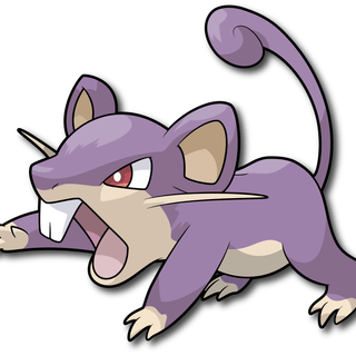 Rattata HD wallpaper