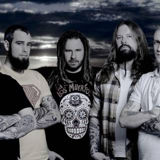 Dreadlocks wallpaper