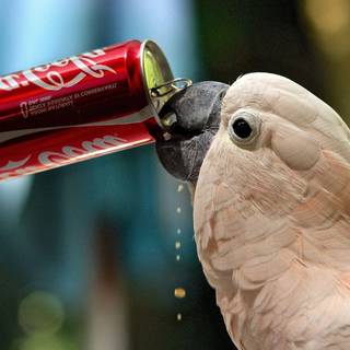 Coca Cola HD wallpaper