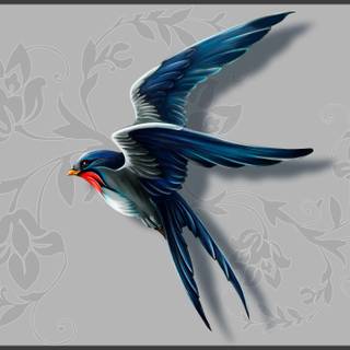 Swallow wallpaper
