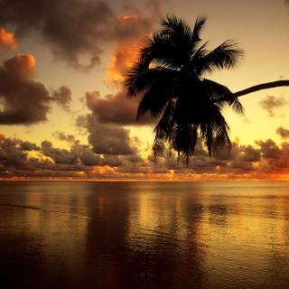 Relaxation wallpaper