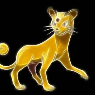 Persian Pokémon HD wallpaper