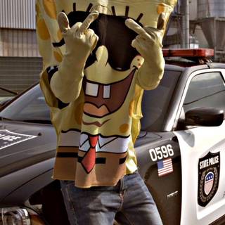 Spongebozz wallpaper HD