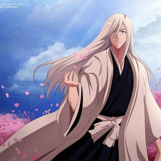 Jūshirō Ukitake wallpaper