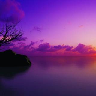 Nature made color wallpaper