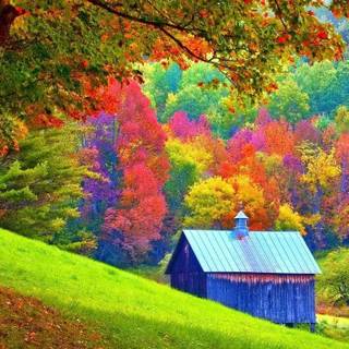 Nature made color wallpaper