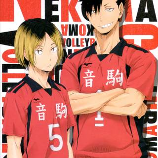 Nekoma High wallpaper