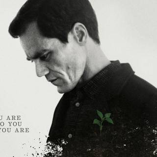 Michael Shannon wallpaper