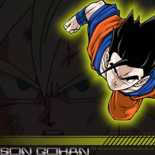Dragon Ball Z Gohan wallpaper