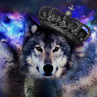 Anime wolves wallpaper